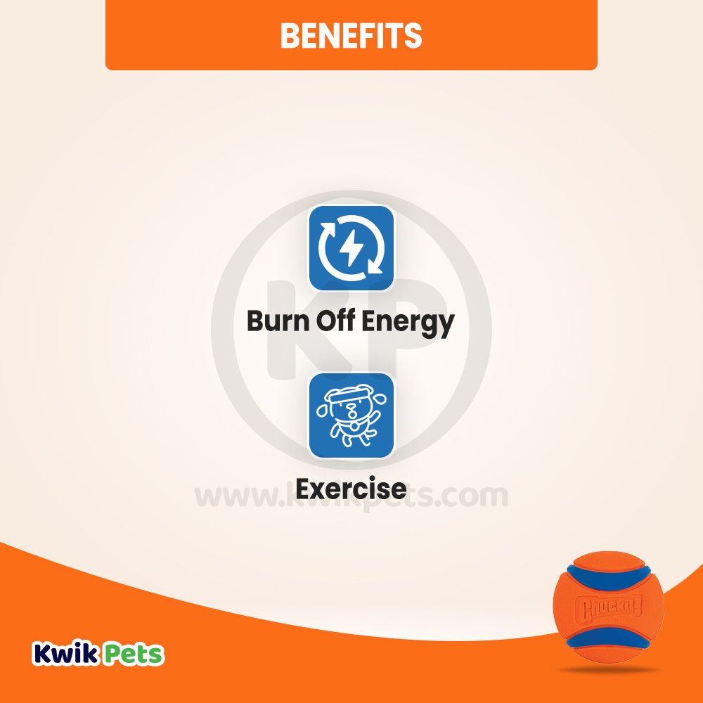 Chuckit! Ultra Ball Dog Toy Blue/Orange Large 2 Pack of 1 Count