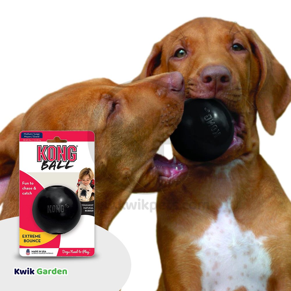 KONG Extreme Ball Dog Toy Black Medium/Large