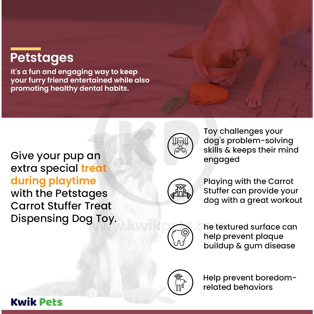 Petstages Carrot Stuffer Treat-Dispensing Interactive Dog Toy