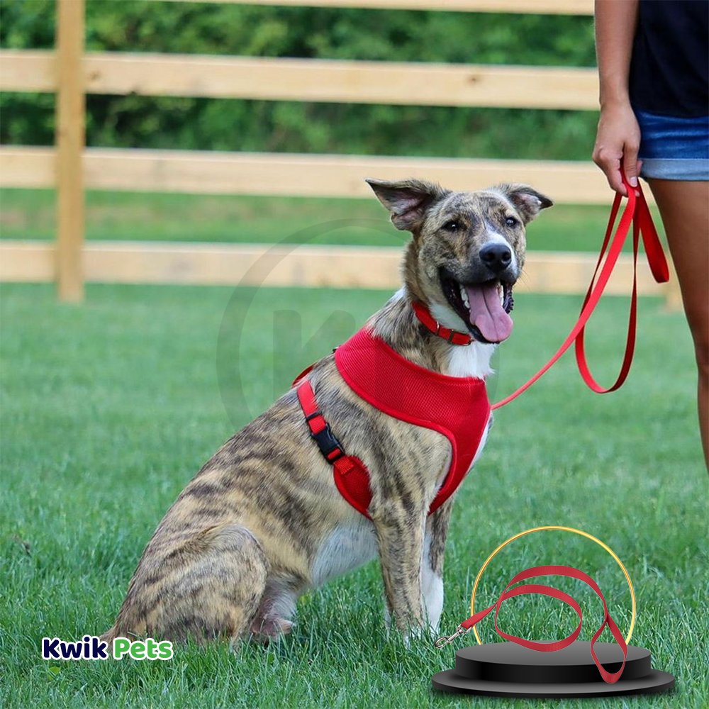 Coastal Single-Ply Nylon Dog Leash Red 3/8 in X 6 ft