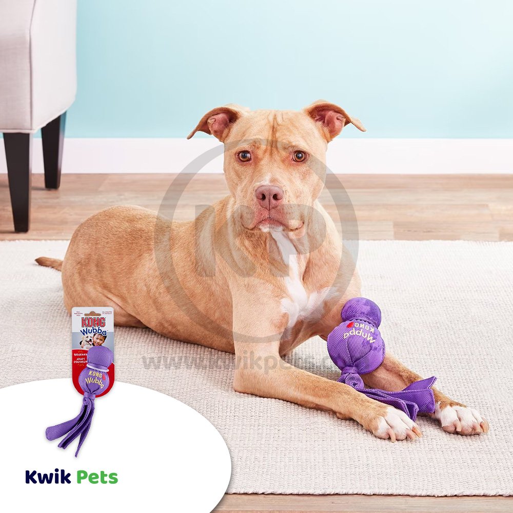 KONG Wubba Dog Toy Assorted Large