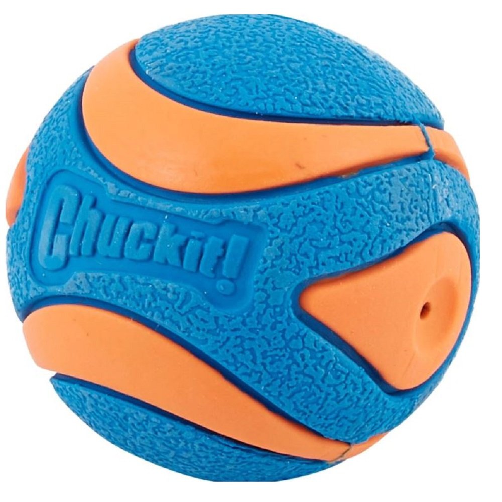 Chuckit! Ultra Squeaker Ball Dog Toy Small