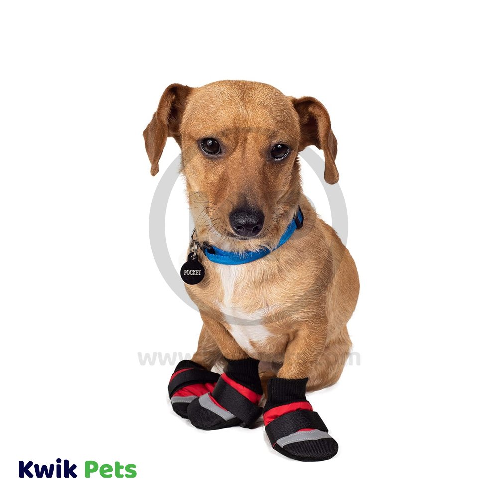 Fashion Pet Extreme All Weather Boots Red/Black XXXS