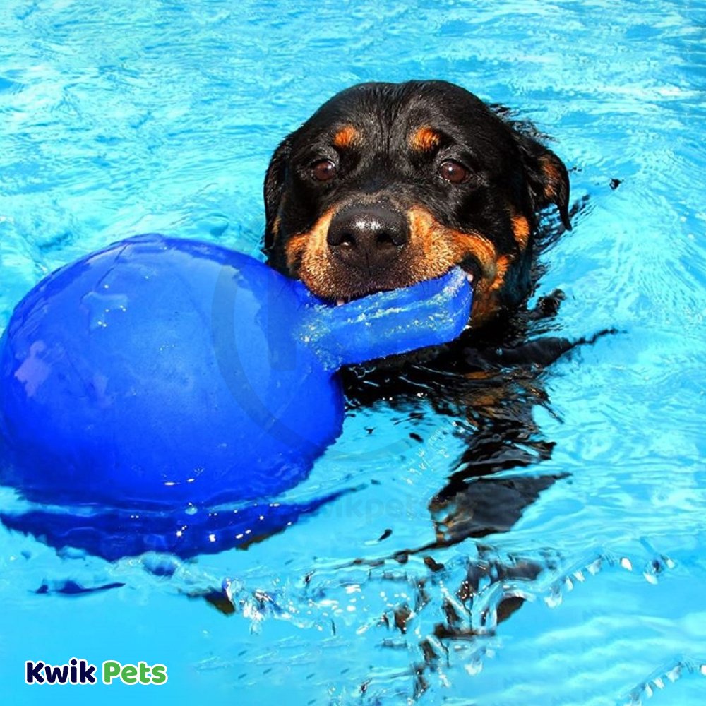 Jolly Pet Tug-n-Toss Mini Dog Toy Blue Small 3-in