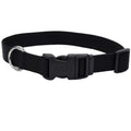 Coastal Adjustable Nylon Dog Collar with Plastic Buckle Black 3/4 in X 14-20 in