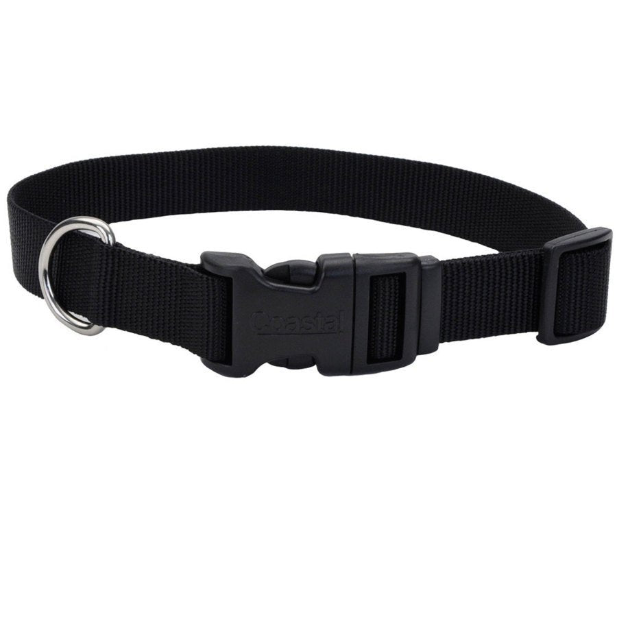 Coastal Adjustable Nylon Dog Collar with Plastic Buckle Black 3/4 in X 14-20 in