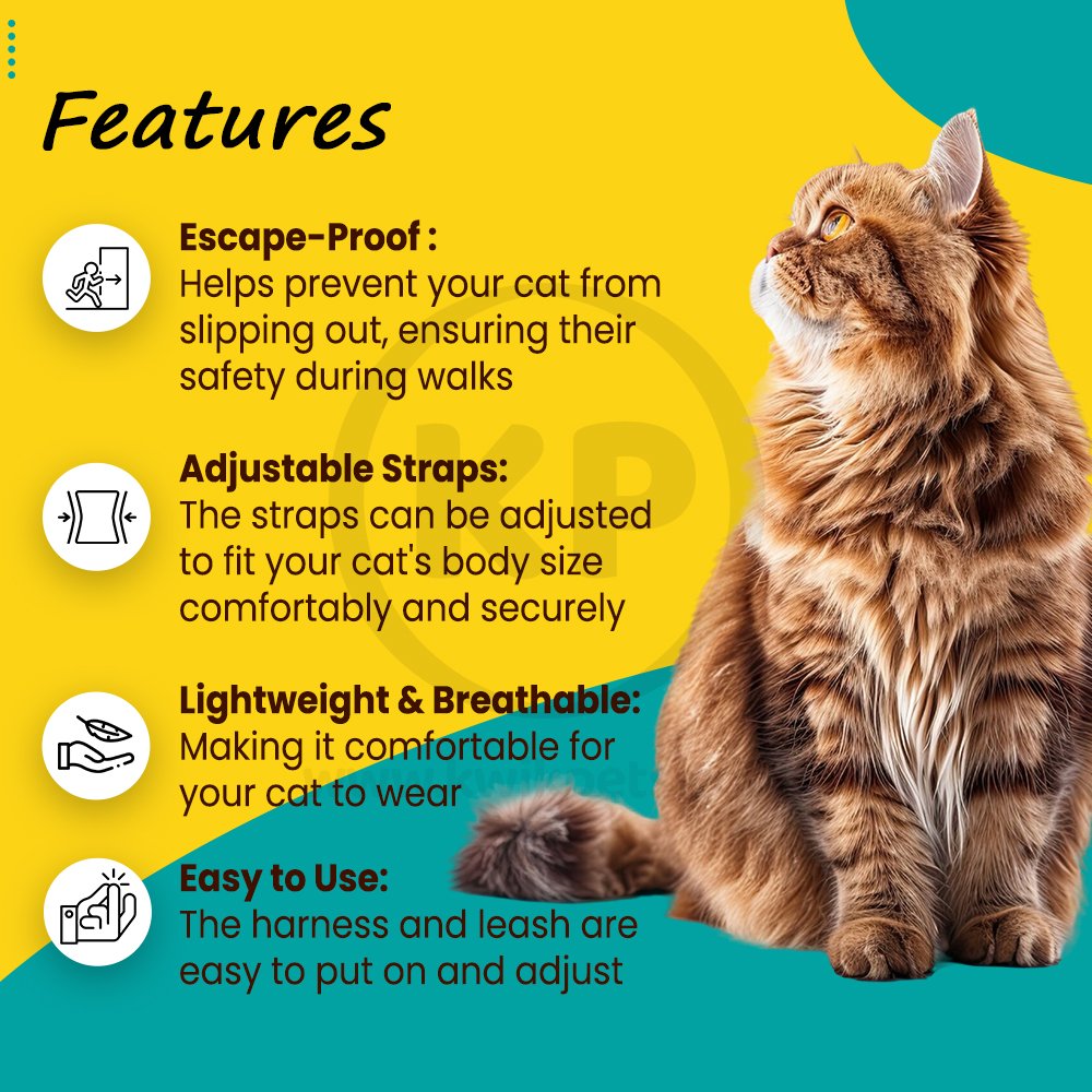 PetSafe Premier Come With Me Kitty Harness & Bungee Leash Combo Royal Blue/Navy Large