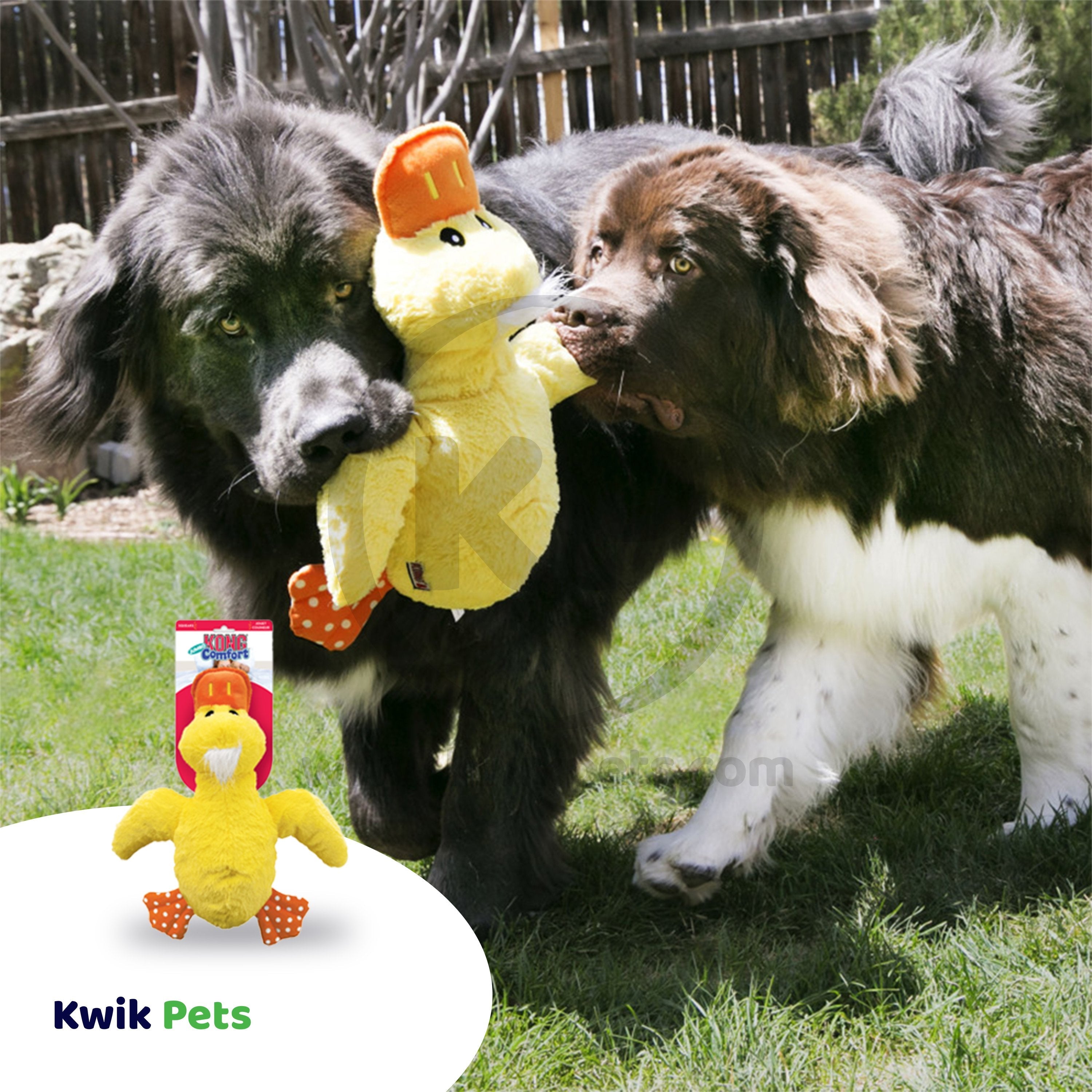 KONG Comfort Duck Jumbo Dog Toy Assorted XL
