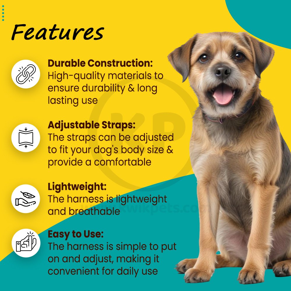 PetSafe CareLift Rear Support Dog Harness Black & Red Small