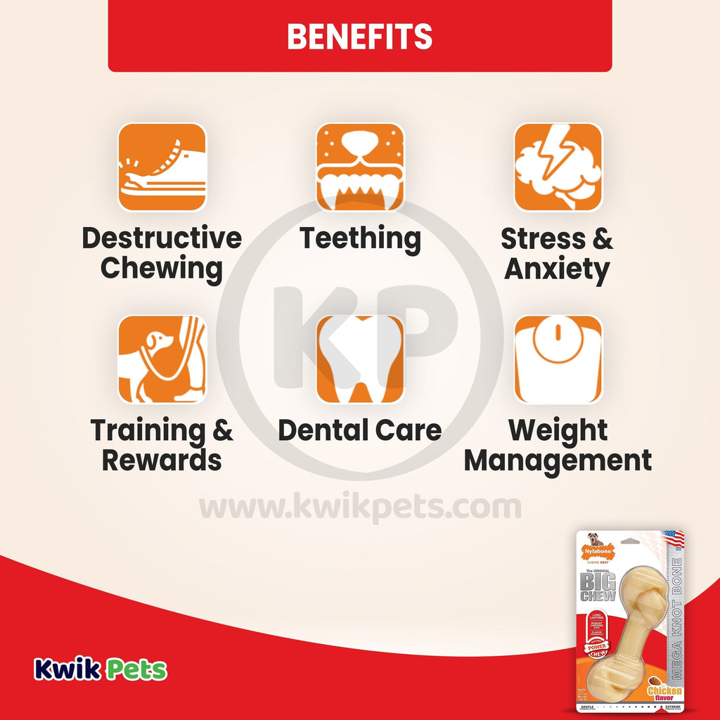 Nylabone Power Chew Big Knot Bone Dog Toy Chicken XXL/Monster - 50++ lbs