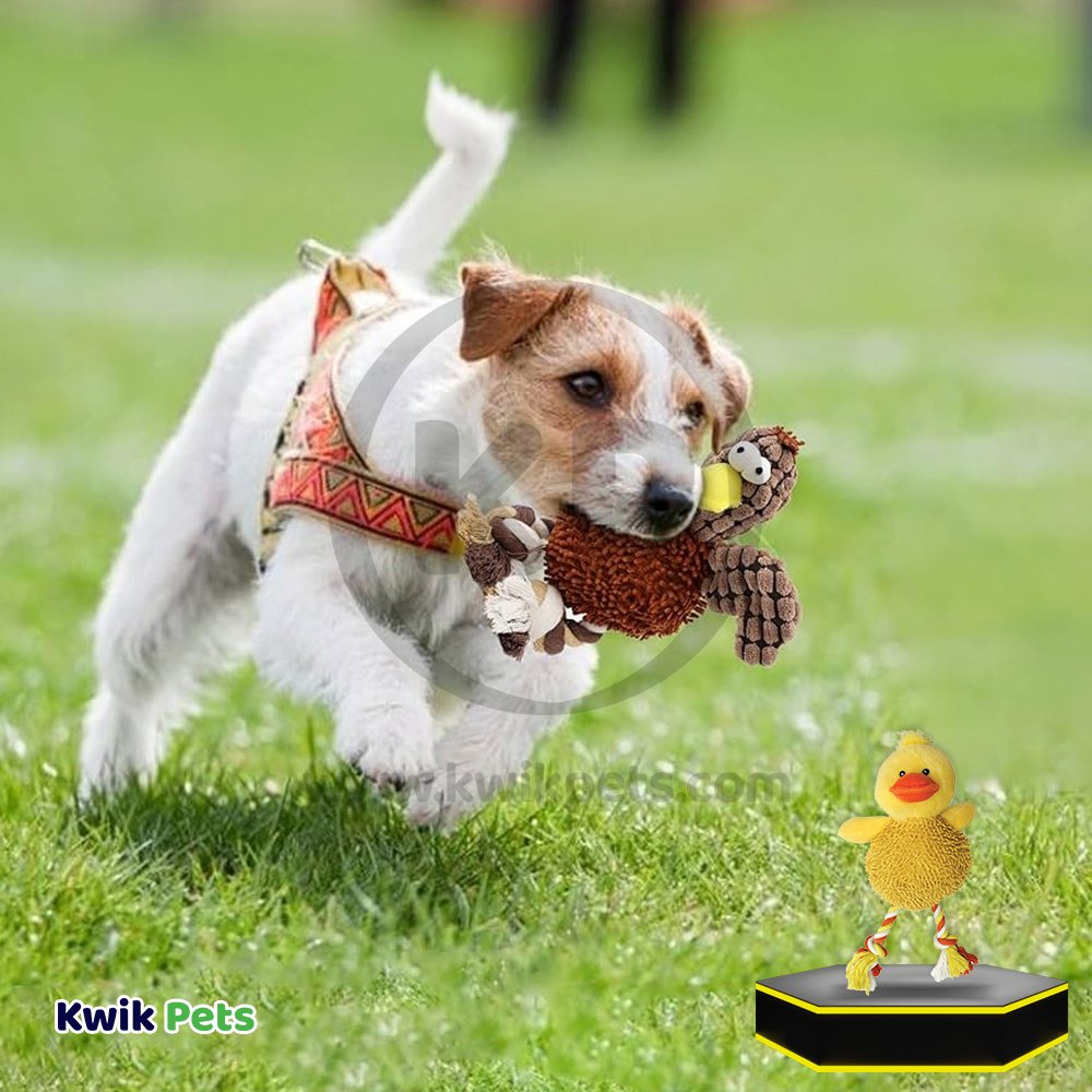 Spot Giggler Pals Plush Dog Toy Assoted 12-in