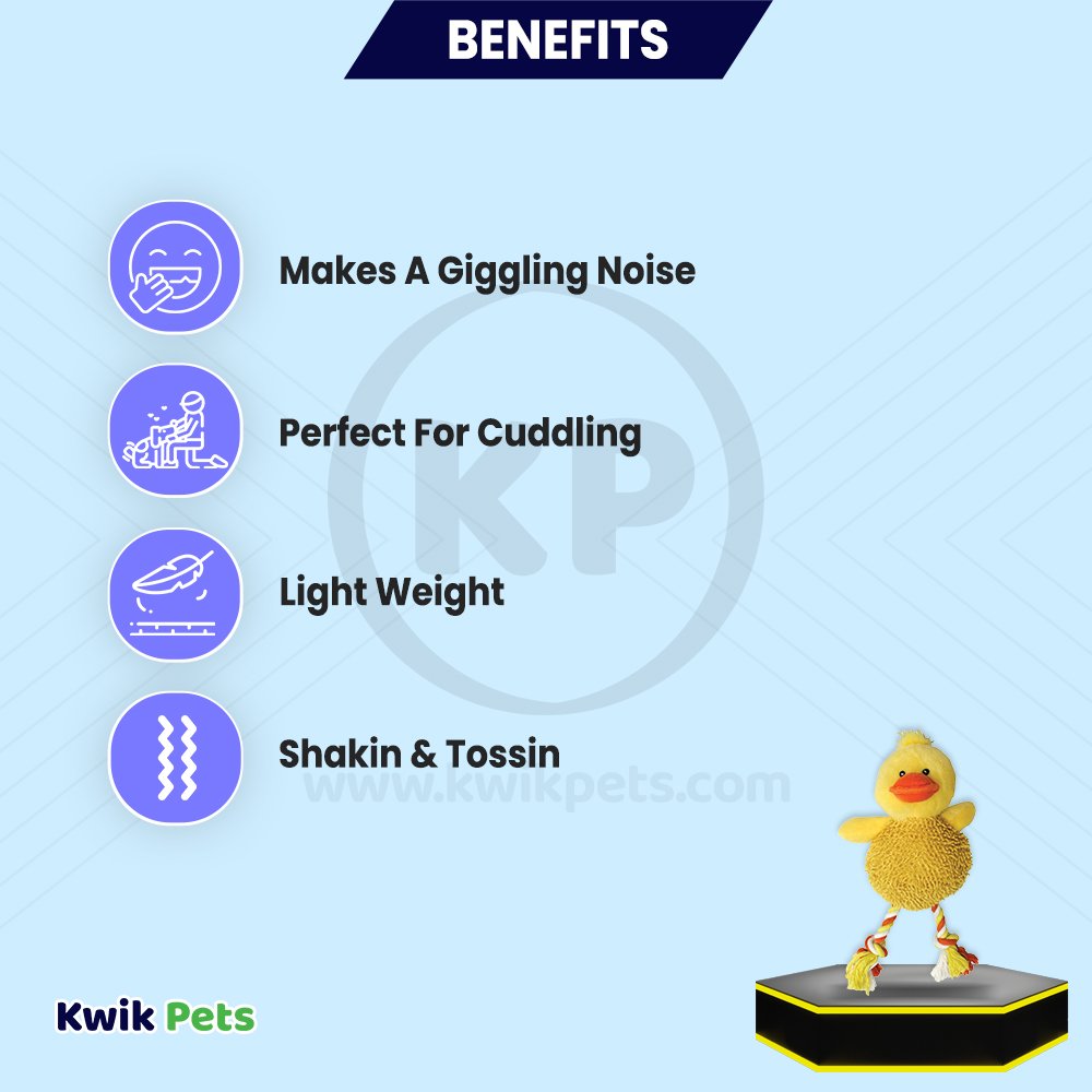 Spot Giggler Pals Plush Dog Toy Assoted 12-in