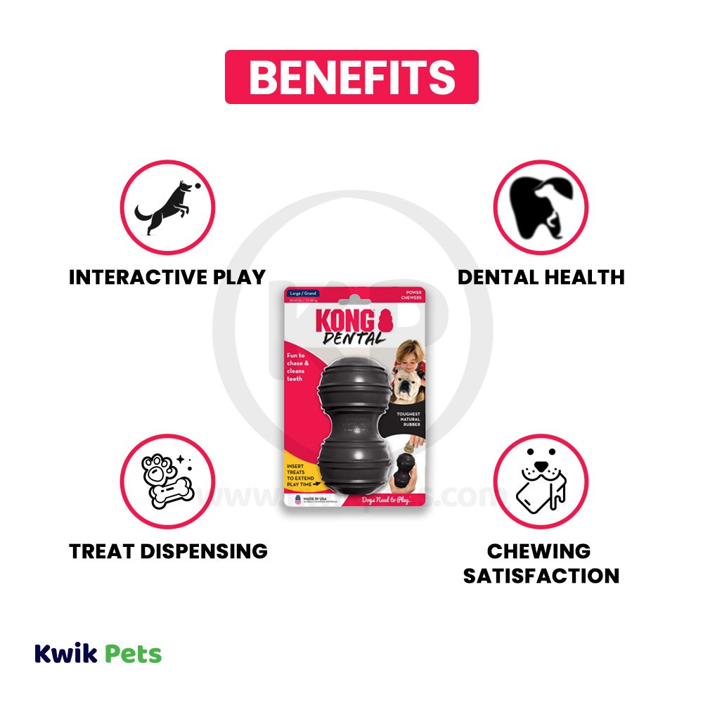 KONG Extreme Dental Dog Toy Large