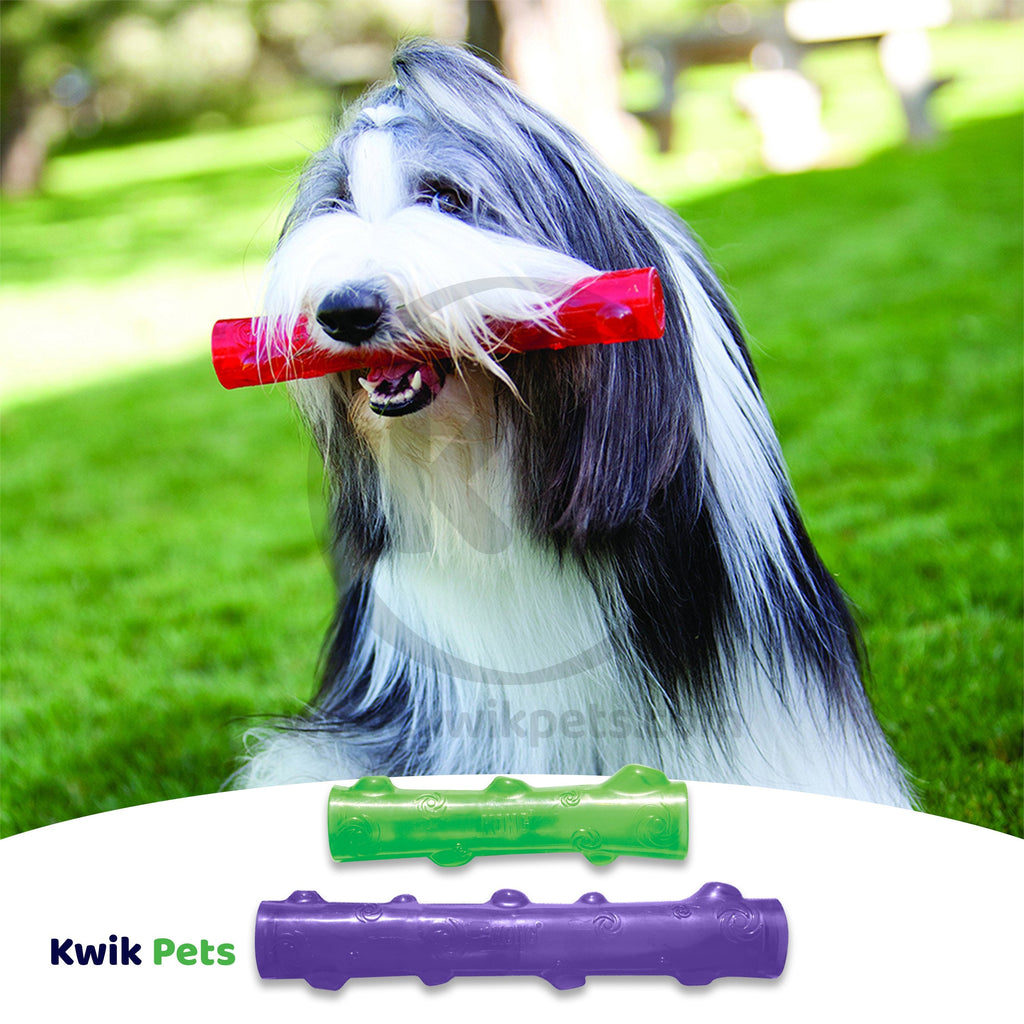 KONG Squeezz Stick Dog Toy Assorted Large