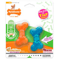 Nylabone Moderate FlexiChew Bone Dog Toy Peanut Butter & Bacon XXS/Tiny - Up To 8 lbs 2 Count