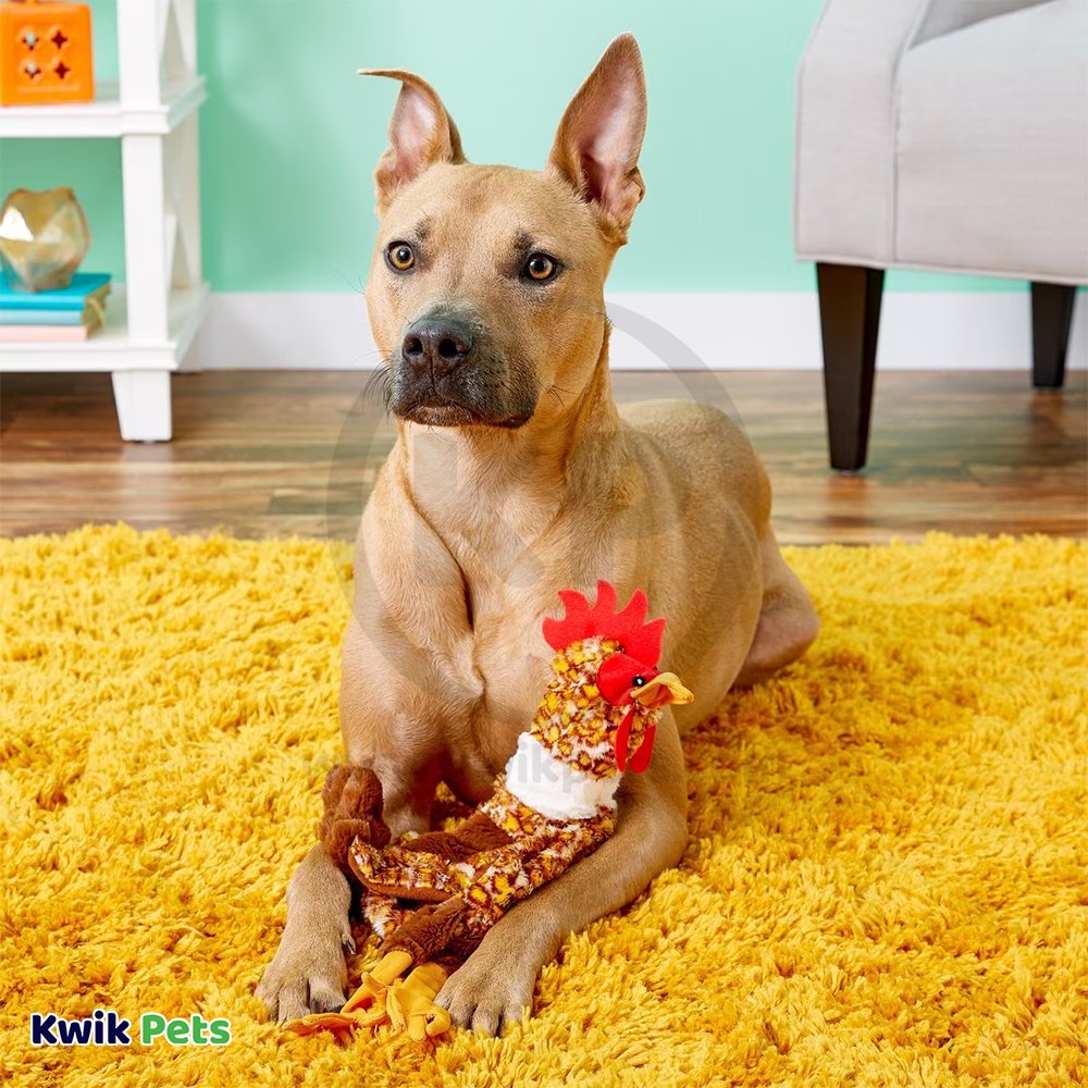 Skinneeez Barnyard Series Dog Toy Chicken Multicolor Mini