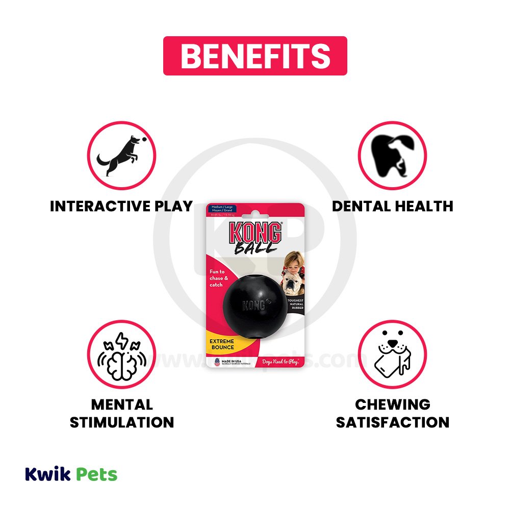 KONG Extreme Ball Dog Toy Black Medium/Large