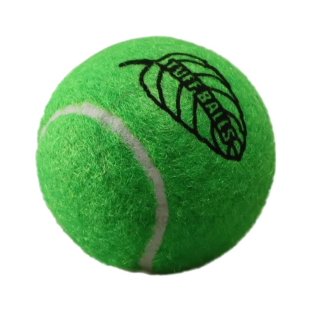 Petsport USA Jr. Mint Balls Dog Toy Assorted 1.8-in 2 Count