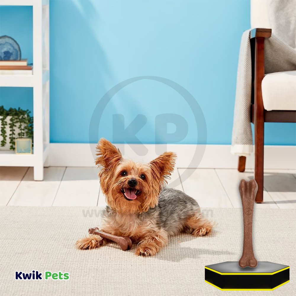 Spot Bam-Bones Bacon Bone Dog Chew Toy Medium 5.75-in