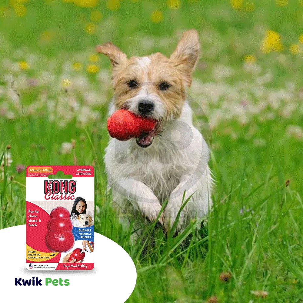 KONG Classic Dog Toy XXS
