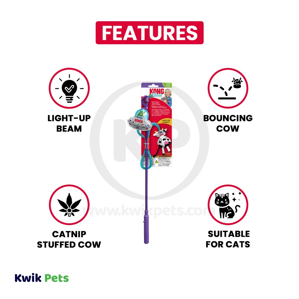 KONG Teaser UFO Cat Toy One Size