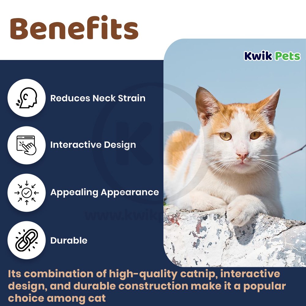 OurPets Play-N-Squeak Real Mouse Shake y'r Tail Feather Cat Toy