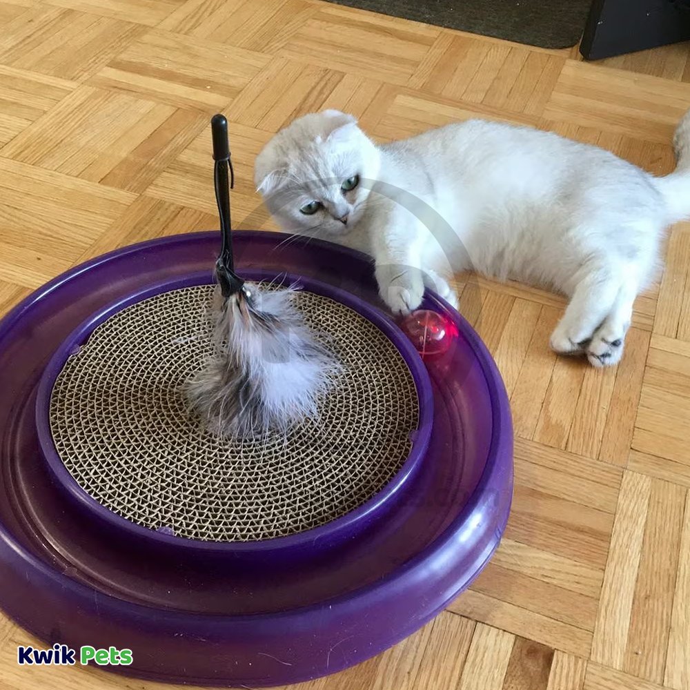 Bergan Replacement Twinkle Ball Cat Toy