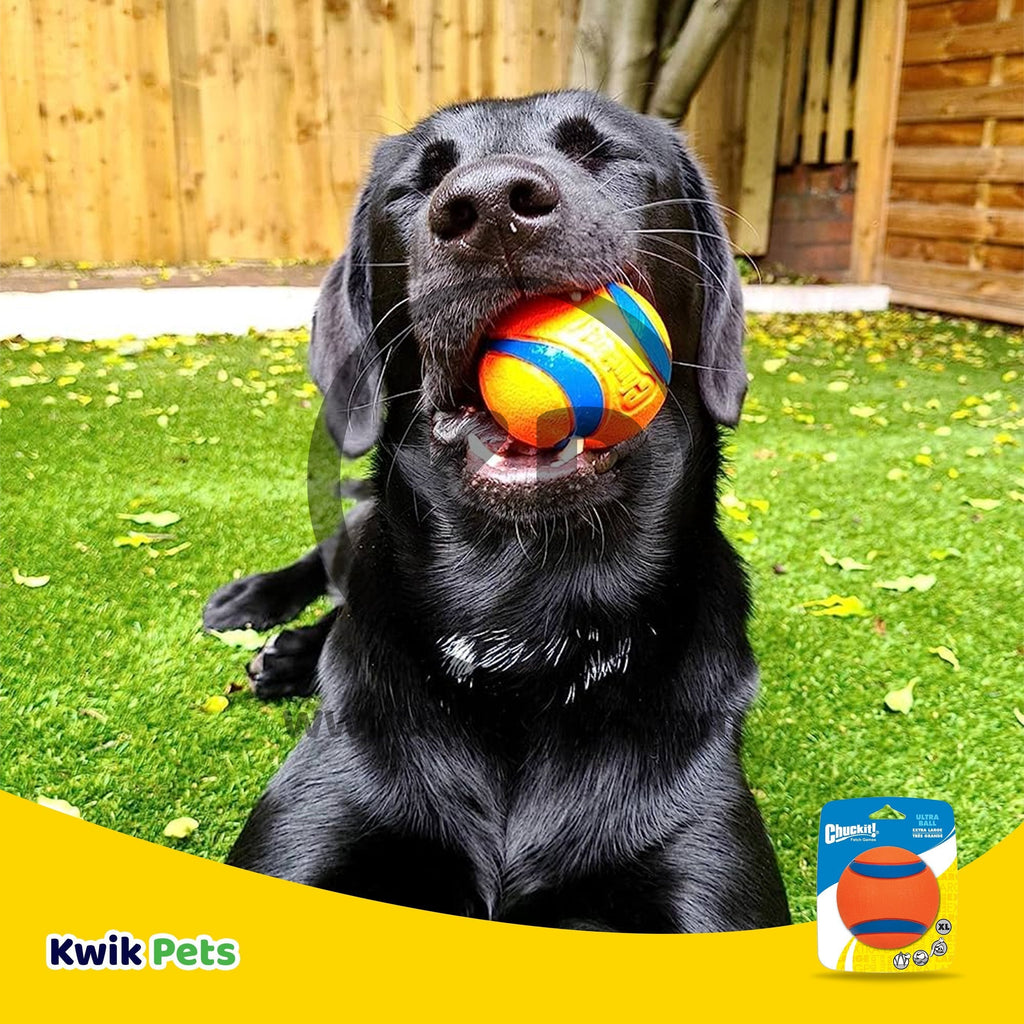 Chuckit! Ultra Ball Dog Toy Blue/Orange X-Large