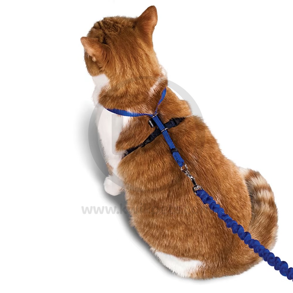 PetSafe Premier Come With Me Kitty Harness & Bungee Leash Combo Royal Blue/Navy Large