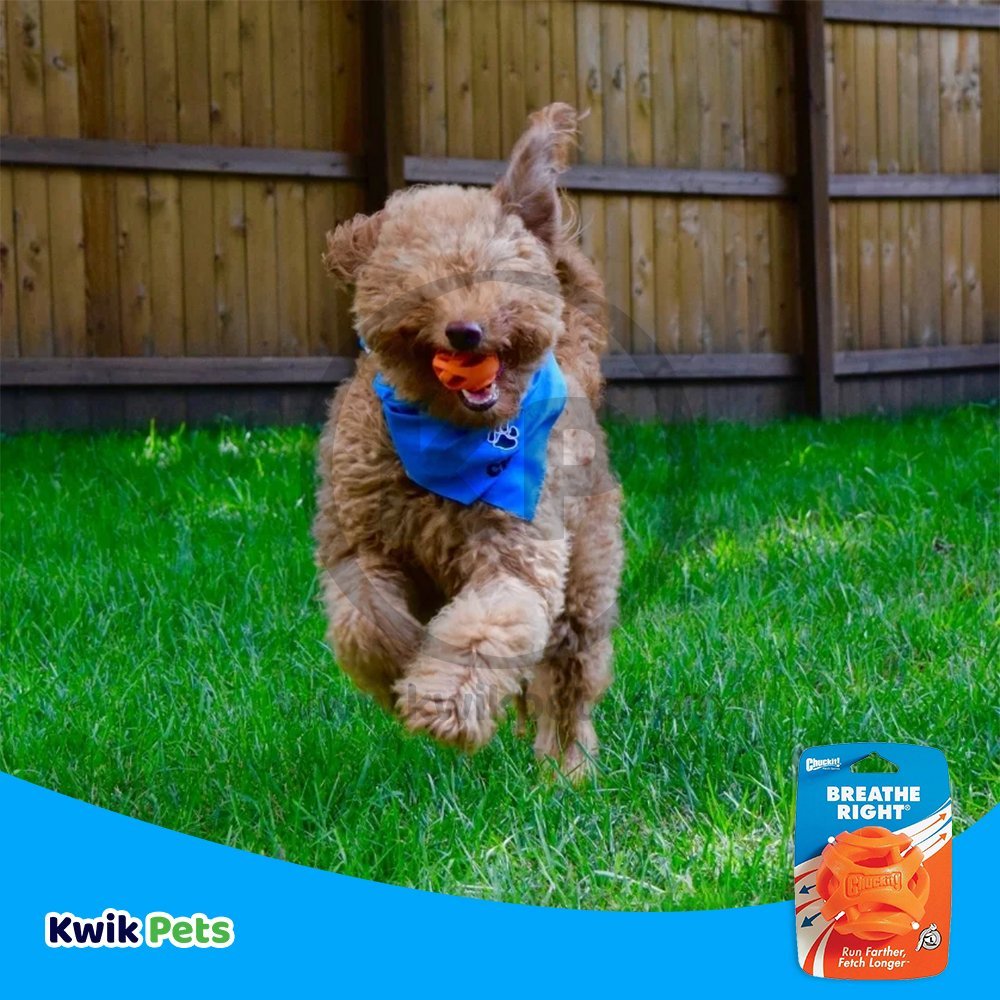 Chuckit! Breathe Right Fetch Ball Dog Toy Orange Large