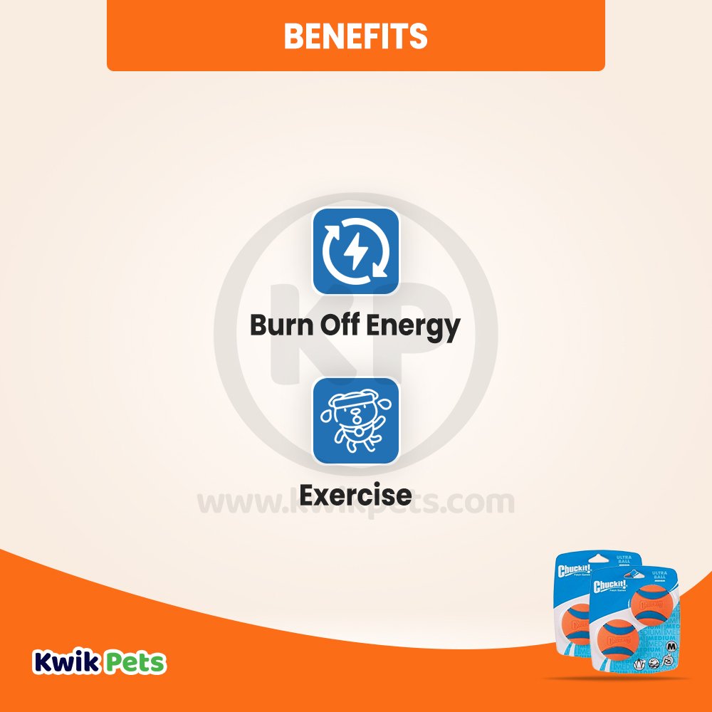 Chuckit! Ultra Ball Dog Toy Blue/Orange Medium 2 Pack of 2 Count