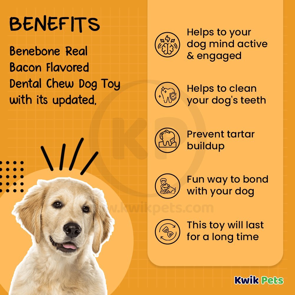 Benebone Dental Chew Dog Toy Bacon Medium