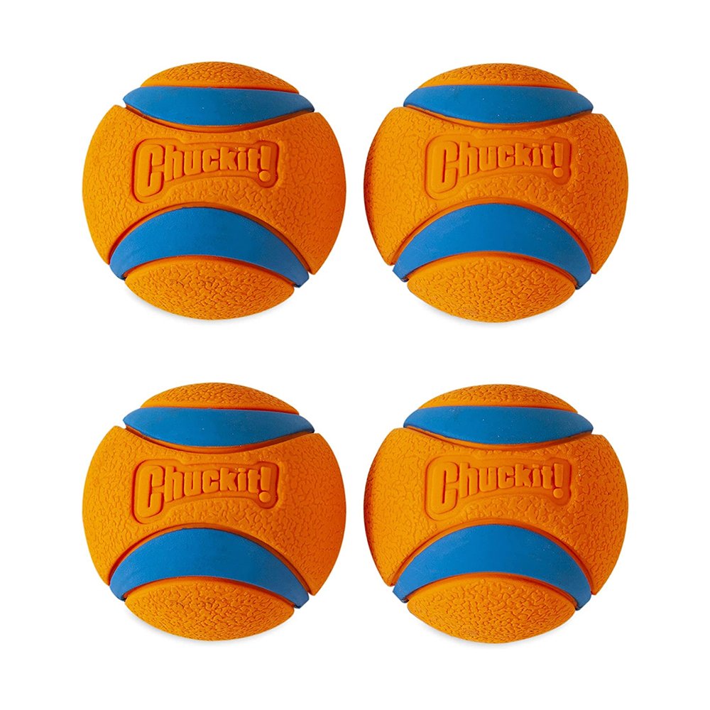 Chuckit! Ultra Ball Dog Toy Blue/Orange Small 2 Pack of 2 Count
