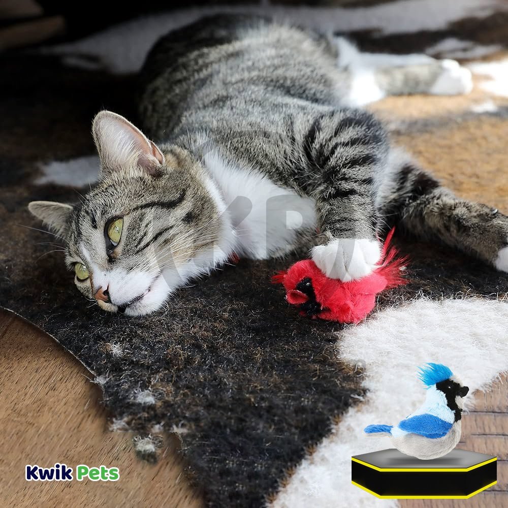 Spot Songbird Cat Toy with Catnip Assorted 5-in