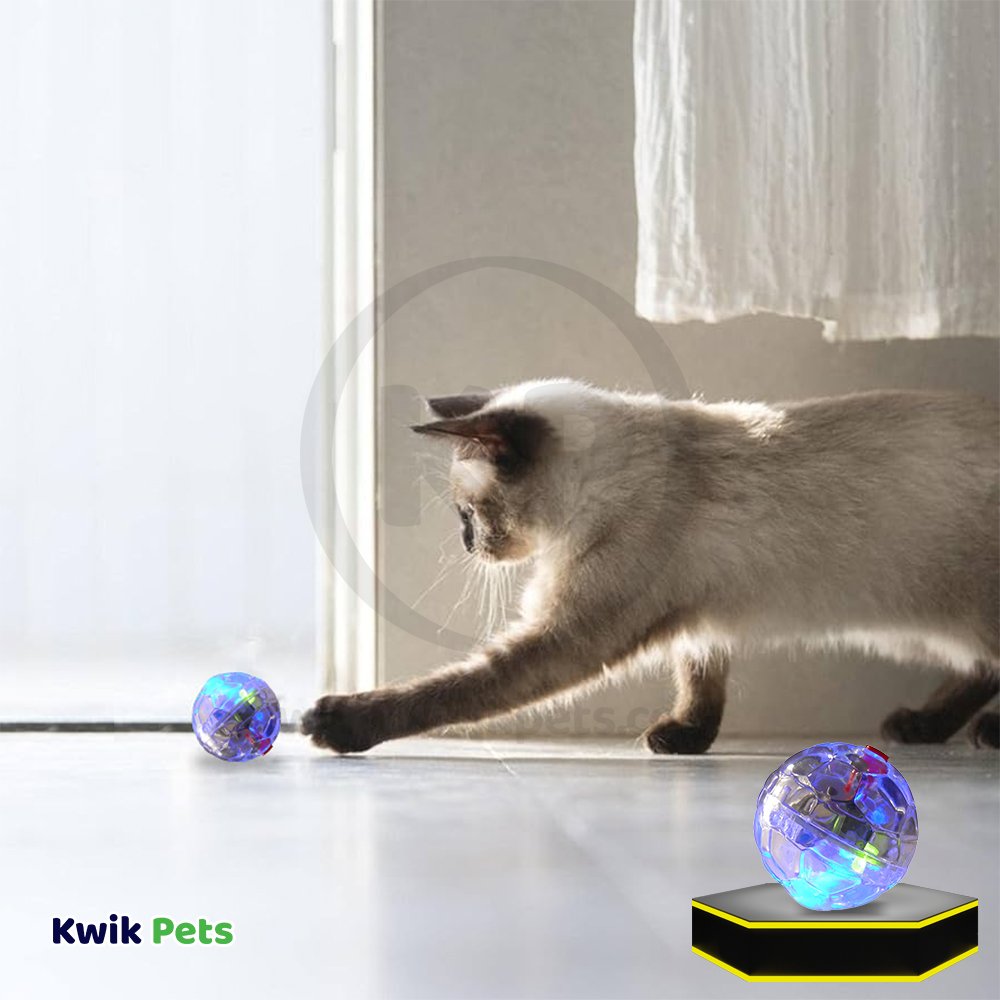 Spot LED Motion Activated Ball Cat Toy Multicolor