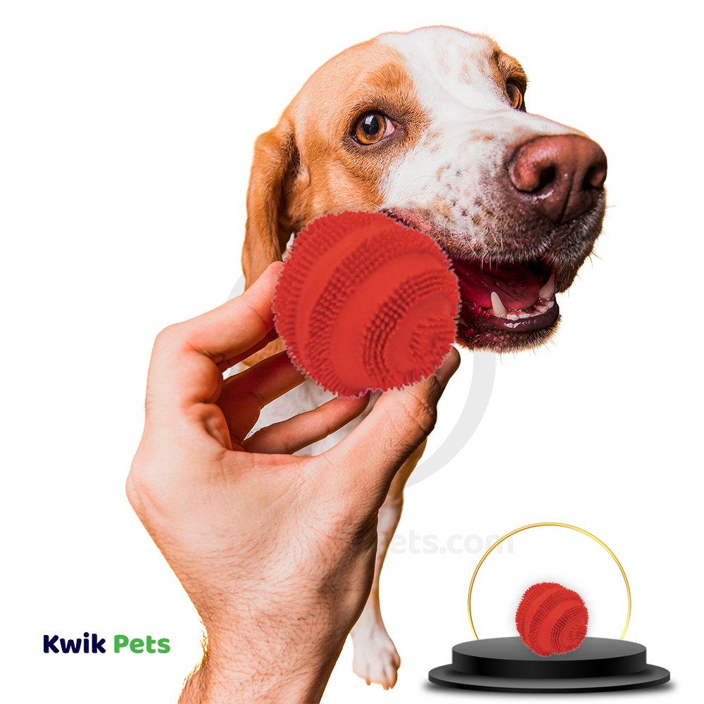 Coastal Rascals Latex Spiny Ball Dog Toy Red 2.5-in