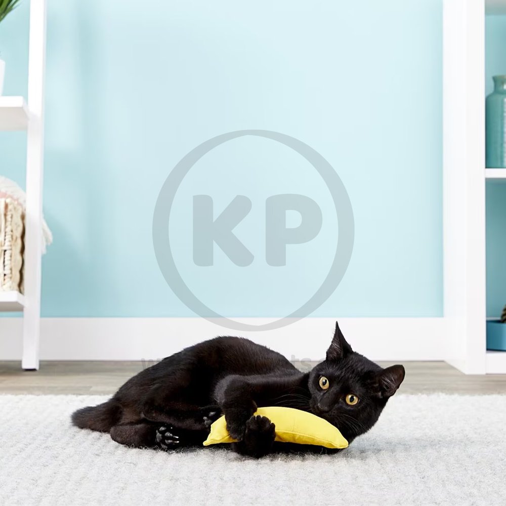 Yeowww! Chi-CAT-a Banana Catnip Cat Toy Yellow 7-in