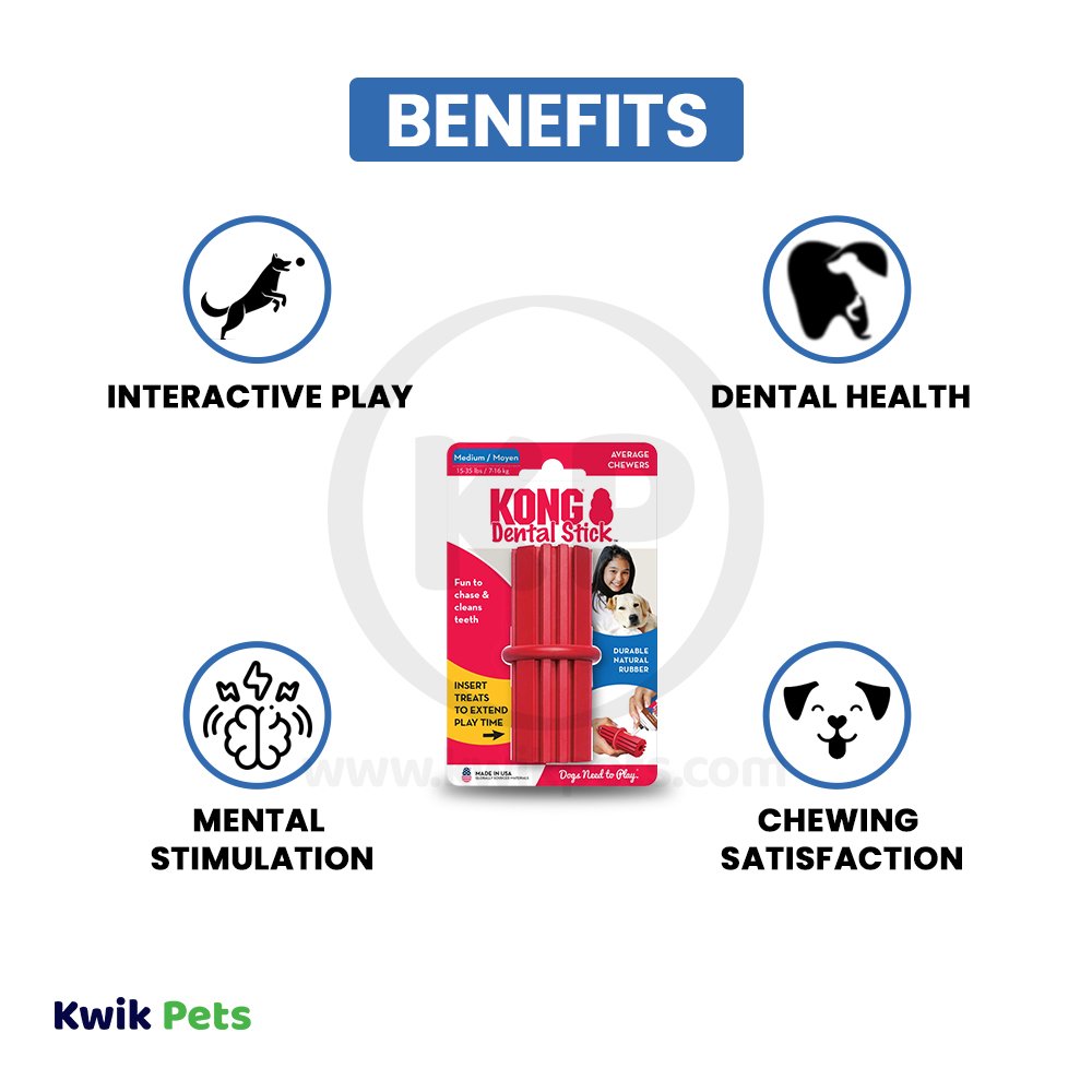 KONG Dental Stick Chew Dog Toy Medium