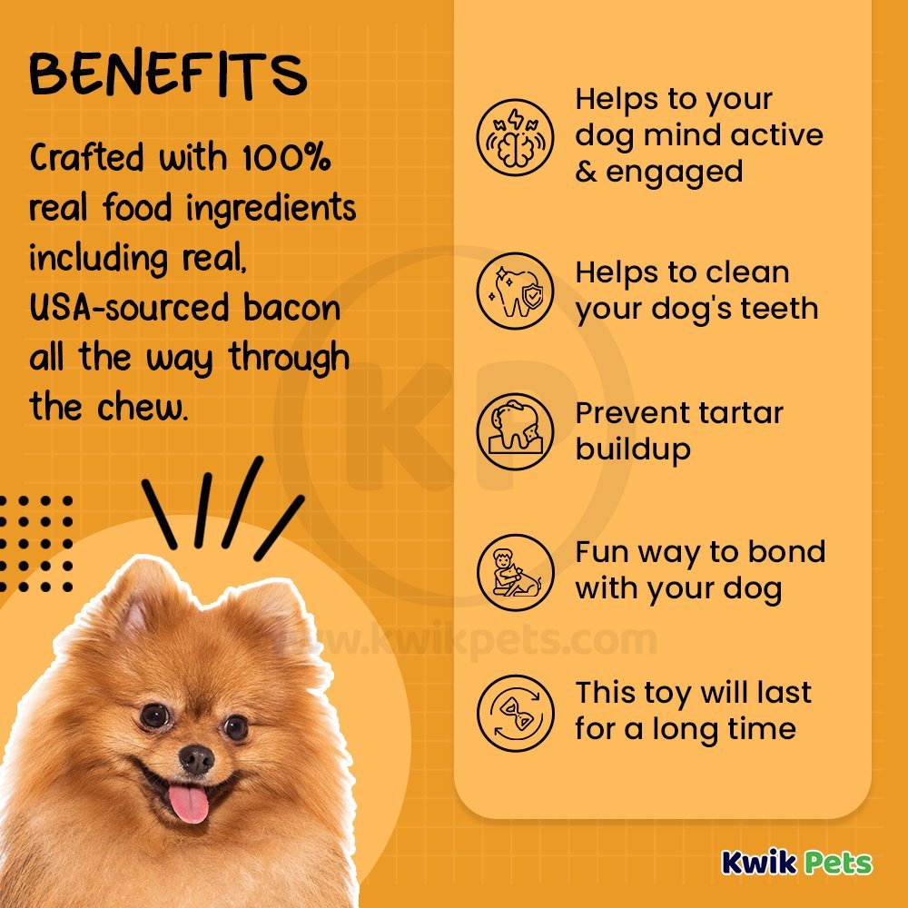 Benebone Dental Chew & Wishbone Dog Chew Toy Bacon Tiny 2 Count