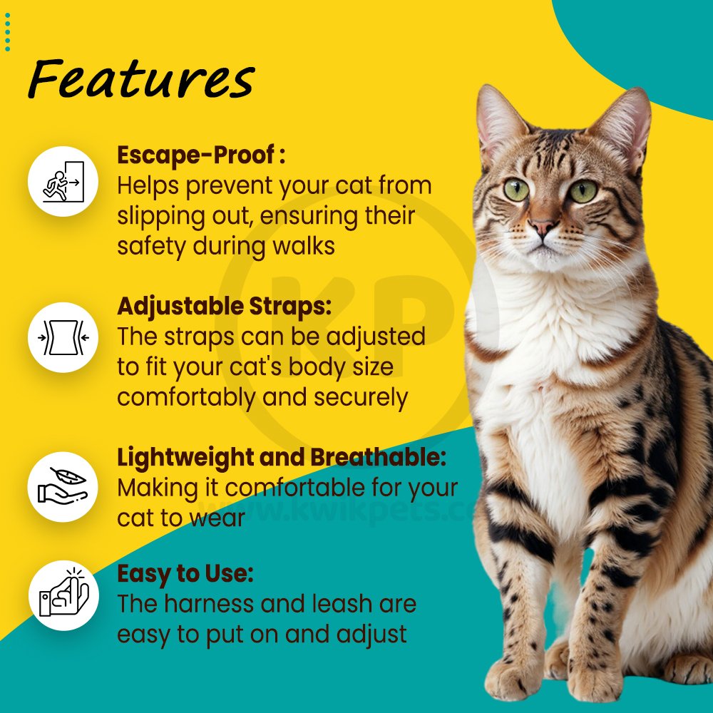 PetSafe Premier Come With Me Kitty Harness & Bungee Leash Combo Black/Silver Large