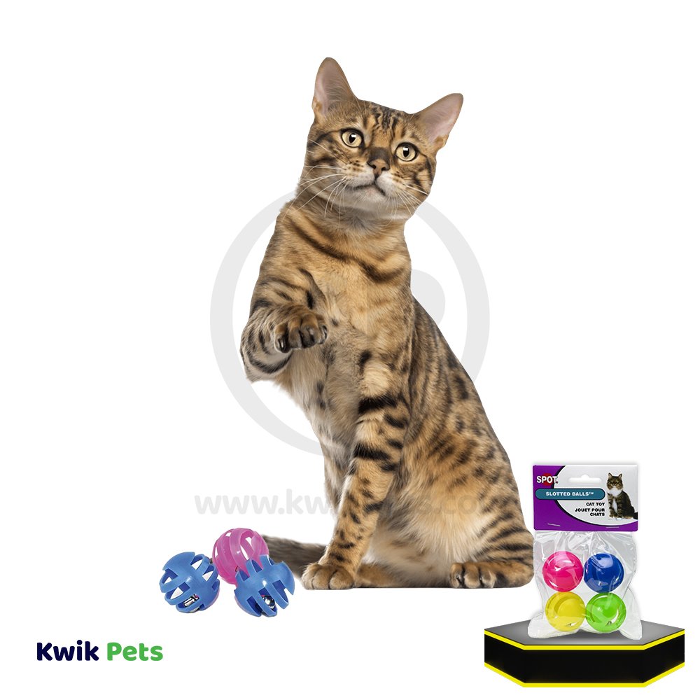 Spot Slotted Balls Cat Toy Multicolor 4 Count