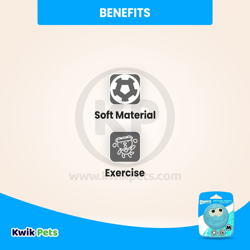 Chuckit! Recycled Remmy Ball Dog Toy Assorted Medium