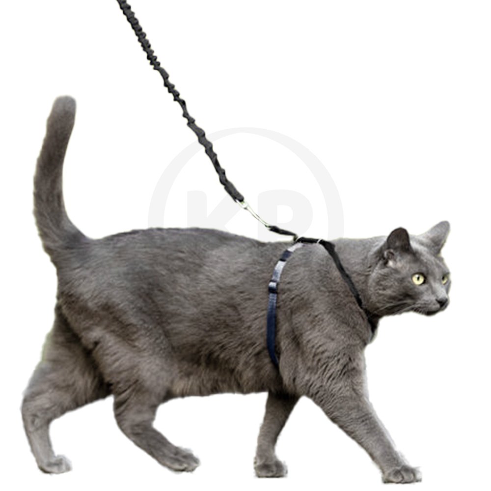PetSafe Premier Come With Me Kitty Harness & Bungee Leash Combo Black/Silver Large