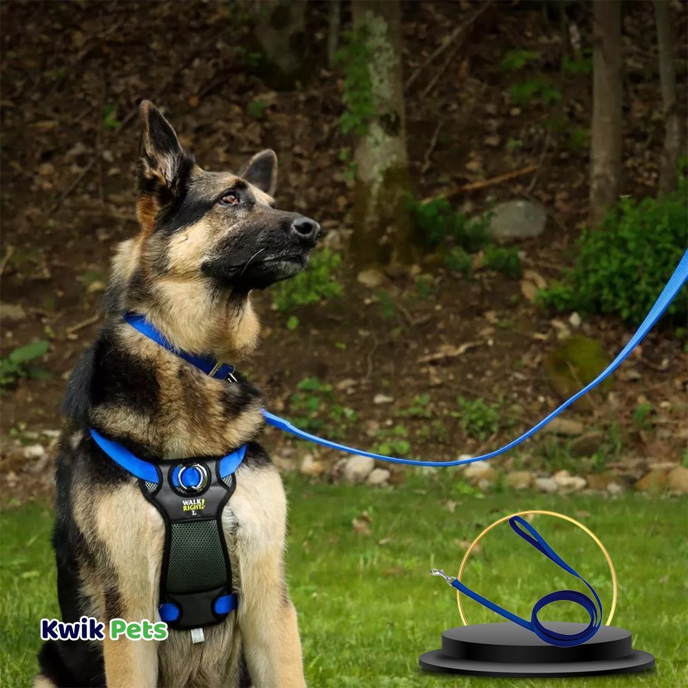 Coastal Single-Ply Nylon Dog Leash Blue 5/8 in X 6 ft