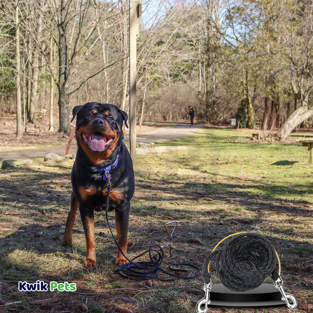 Coastal Poly Big Dog Tie Out Black 3/8 in X 20 ft