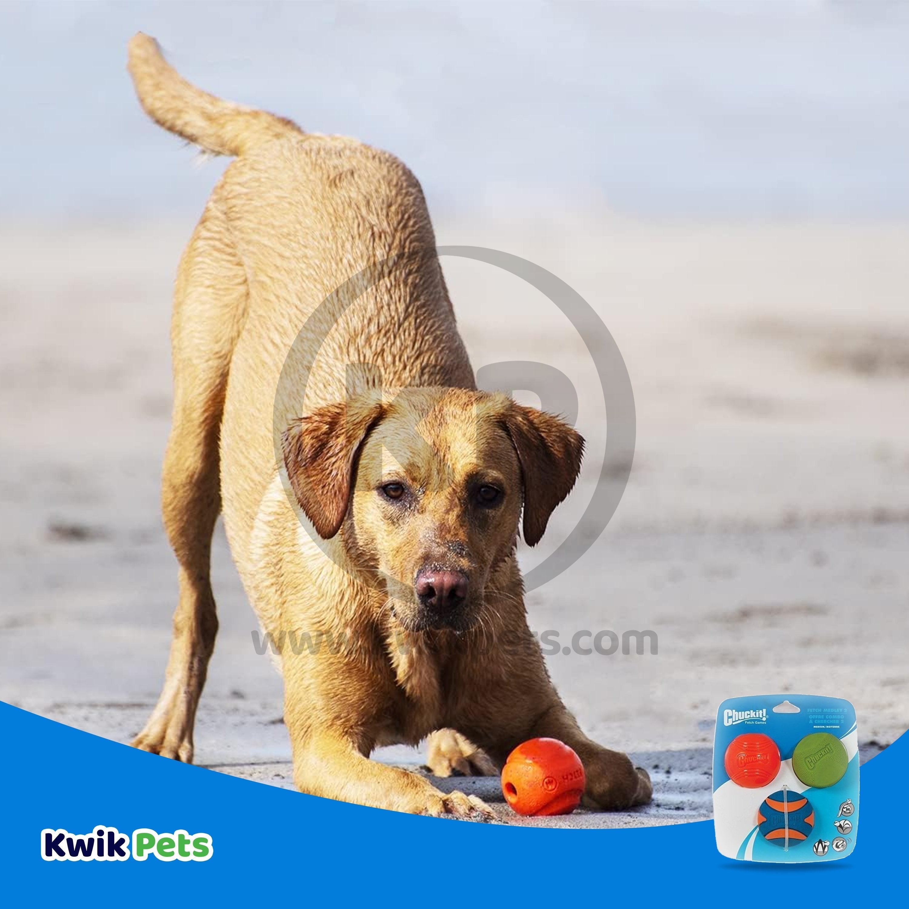 Chuckit! Fetch Ball Medley 2 Triple Pack Ball Dog Toy Medium 3 Count