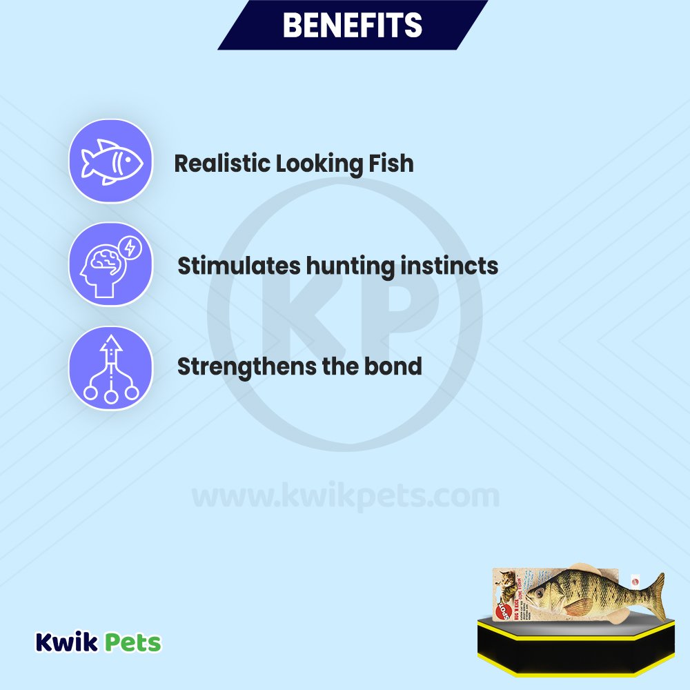 Spot Gone Fishin' Teaser Wand Cat Toy with Catnip Assorted