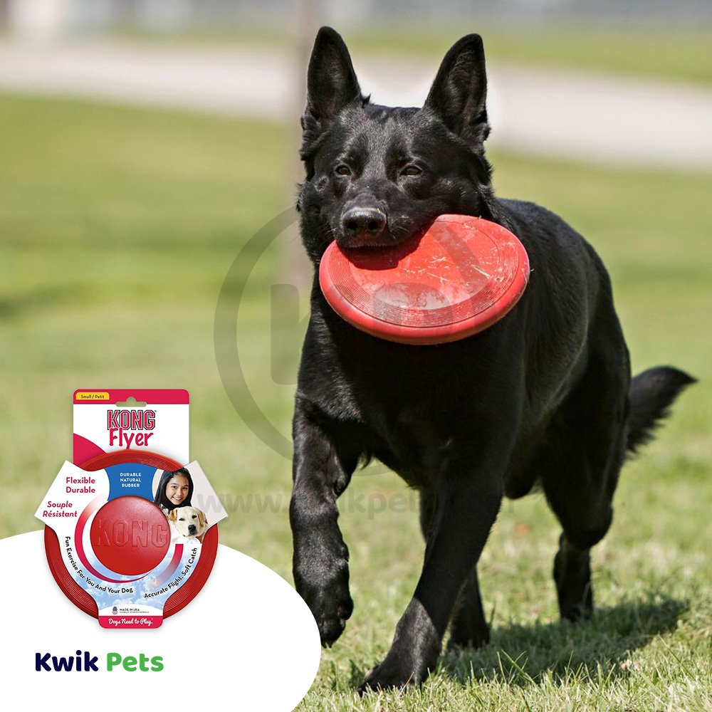 KONG Puppy Flyer Dog Toy Assorted Small