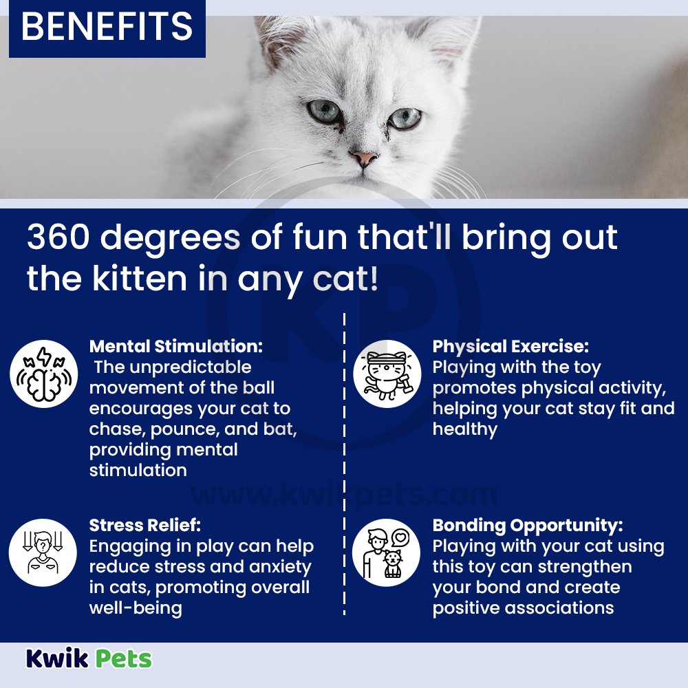 Fat Cat Crazy Circle Catnip Toy Blue Small