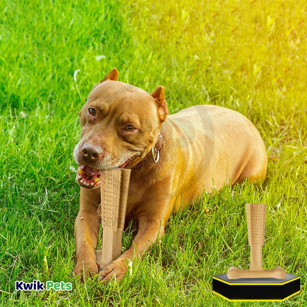 Spot Bam-Bones Plus Dog Chew Toy Chicken Large 7-in